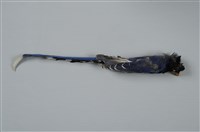 藏品(臺灣藍鵲)的圖片